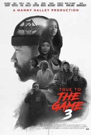 Theatrical Poster