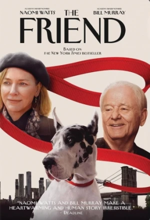 DVD Cover (Decal Releasing)