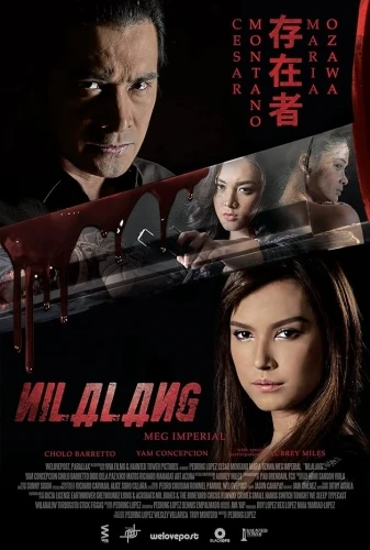Theatrical Poster (Japan)