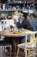 The One with the Chicken Pox