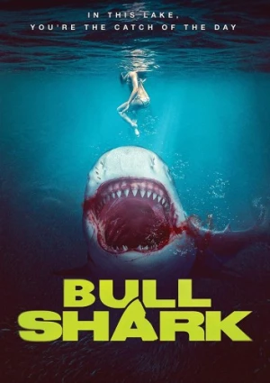 DVD Cover (ITN Distribution)