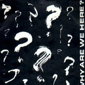 Why Are We Here?
