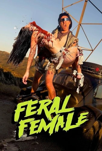 DVD Cover (Frolic Pictures)