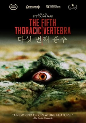 DVD Cover (MVD Visual)