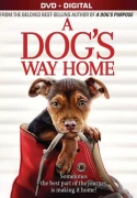 A Dog's Way Home
