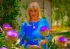 Donna Smith