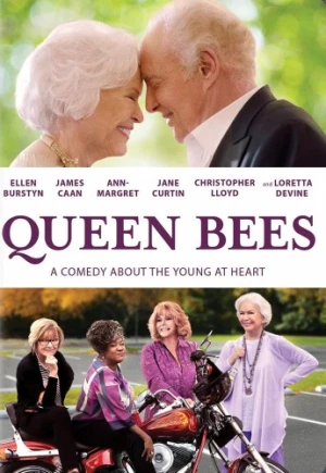 DVD Cover (Universal)