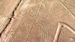 The Desert Codes