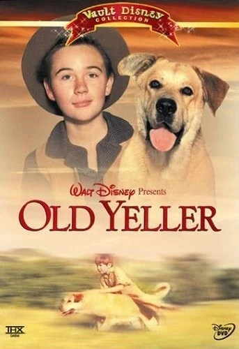 DVD Cover (Walt Disney Studios)