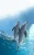 Winter The Dolphin