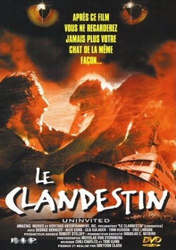 DVD Cover (France)