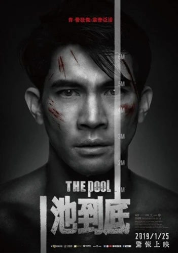 Theatrical Poster (Japan)