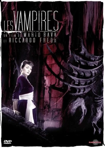 DVD Cover (France)