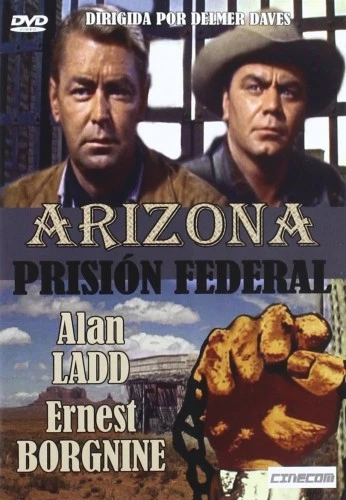 DVD Cover (Spanish)