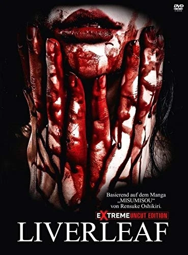 DVD Cover (Germany)