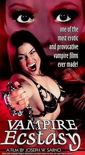 VHS Cover (Retro-Seduction Cinema)
