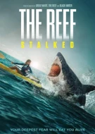 The Reef: Stalked