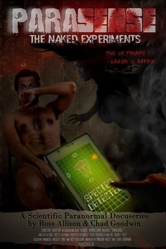 Theatrical Poster