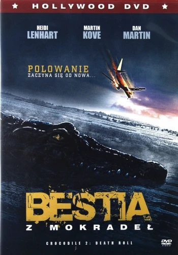 DVD Cover (Poland)