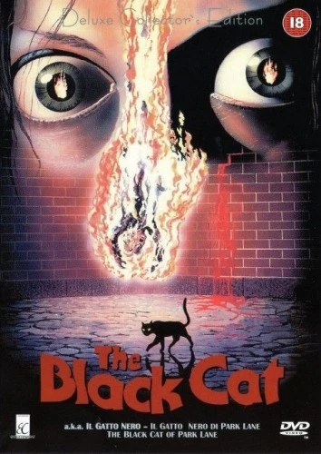 DVD Cover (UK)