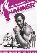 Hammer