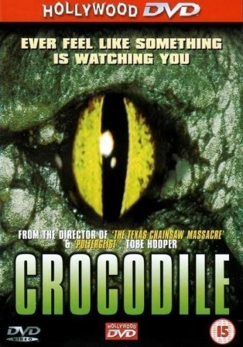 DVD Cover (Hollywood DVD)