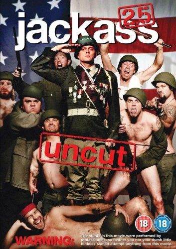 DVD Cover (UK)