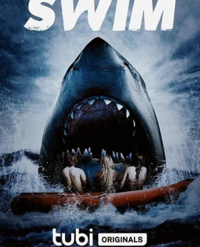 Theatrical Poster