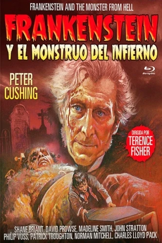 Theatrical Poster (Spanish)
