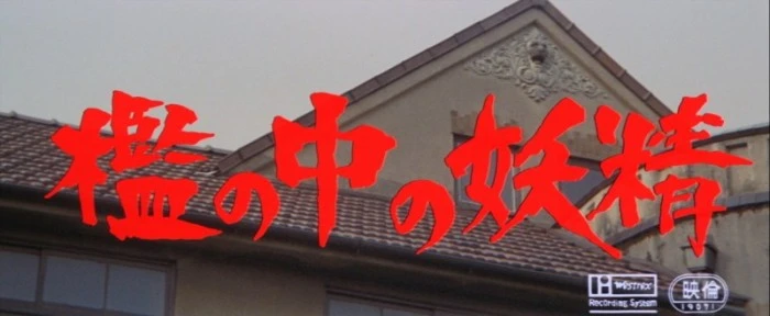 Title Card