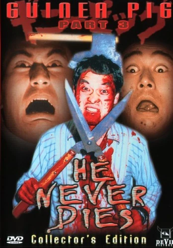 DVD Cover (Devil Pictures)