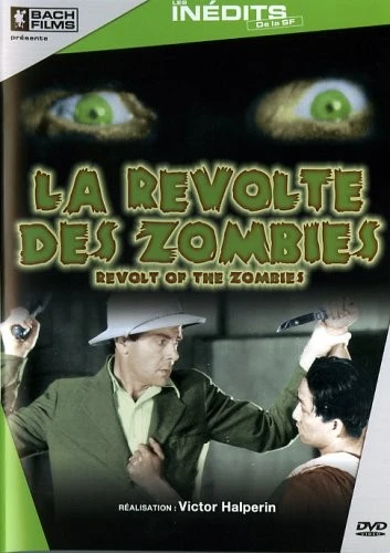 DVD Cover (France)