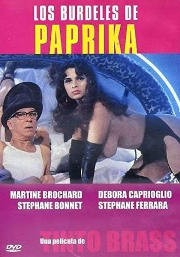 DVD Cover (France)