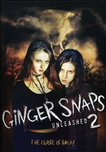 DVD Cover (Lions Gate)