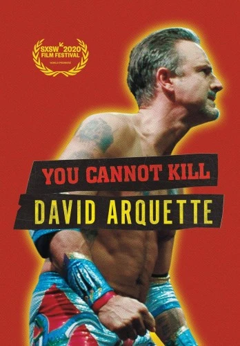 DVD Cover (Super LTD)