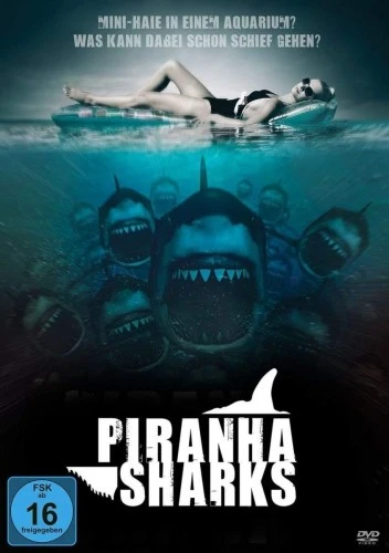 DVD Cover (Germany)