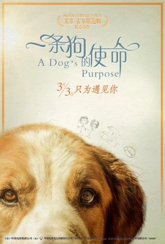 Theatrical Poster (Japan)