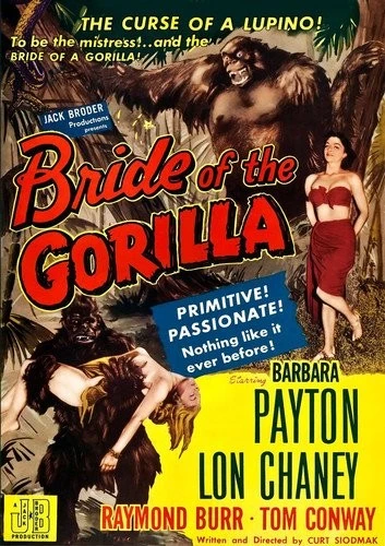 DVD Cover (Reel Vault)