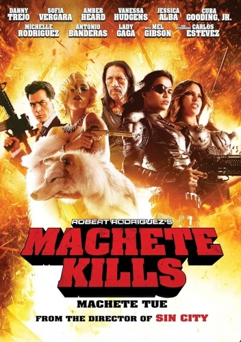 DVD Cover (France)