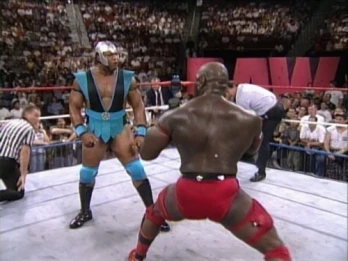Raw Invitational Battle Royal