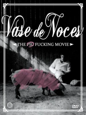 DVD Cover (Sweden)
