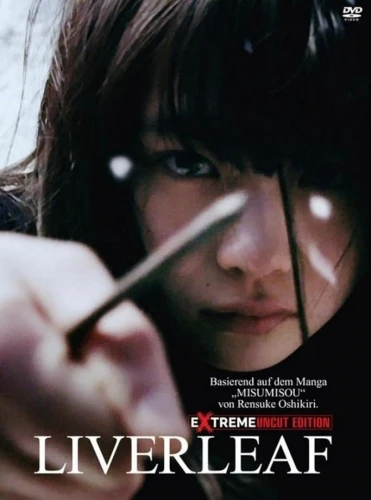 DVD Cover (Germany)