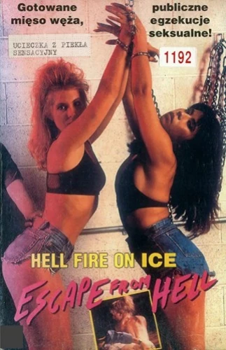 Theatrical Poster (Poland)