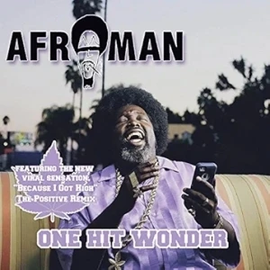 One Hit Wonder