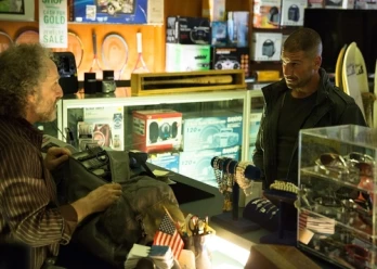 Dogs to a Gunfight
