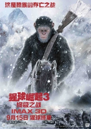 Theatrical Poster (China)