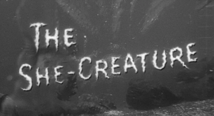 Title Card