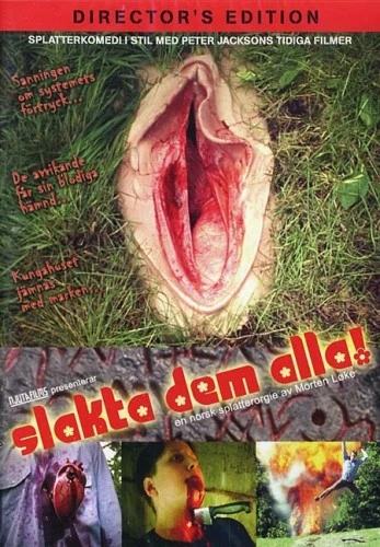 DVD Cover (Sweden)