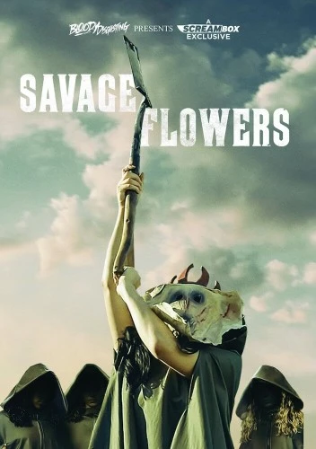 DVD Cover (Cineverse)