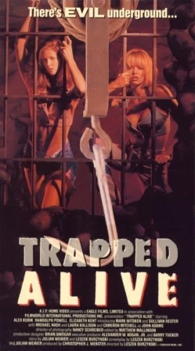 VHS Cover (AIP Home Video)